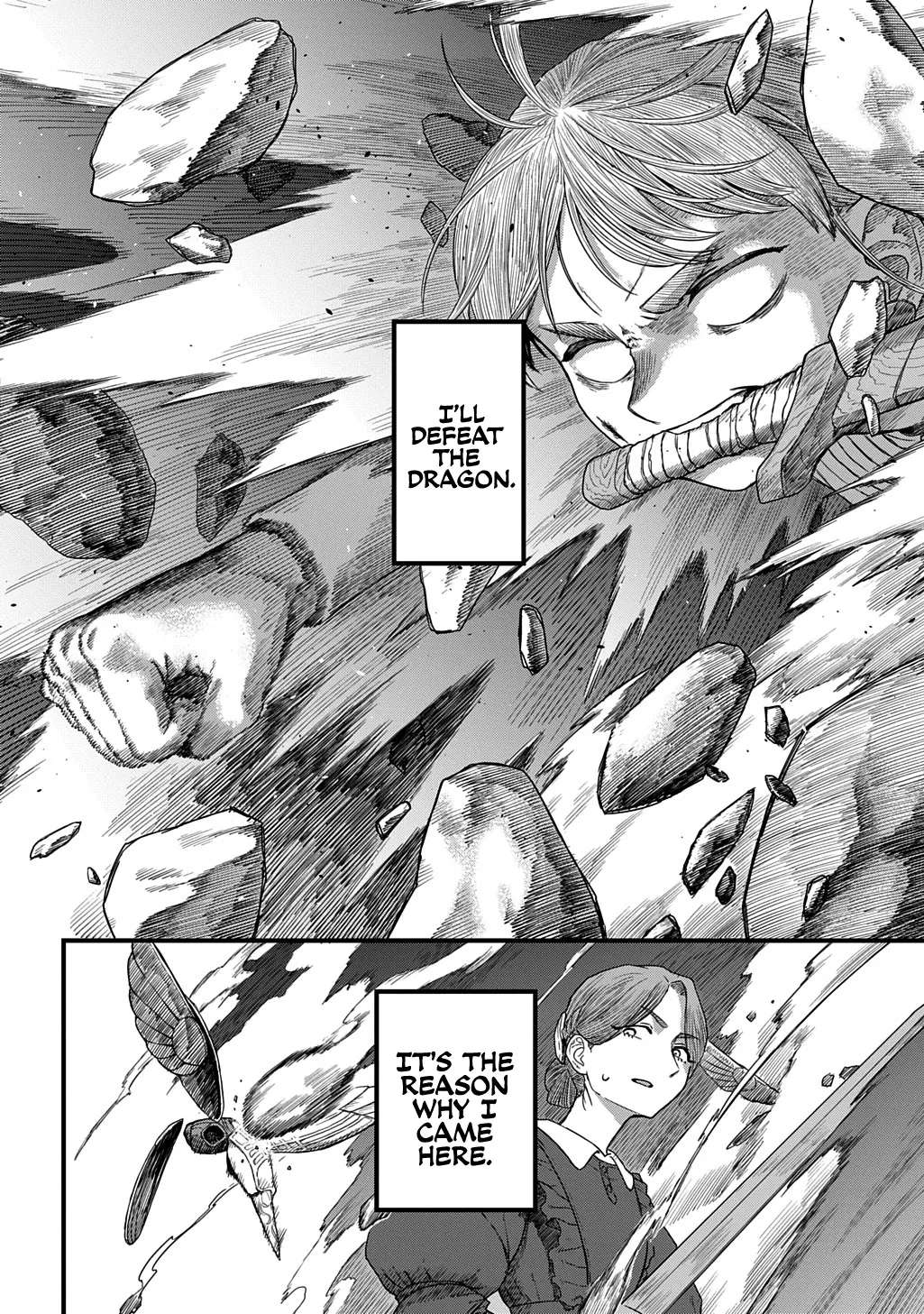 Fiera the Dragonslayer Chapter 2 - page 32