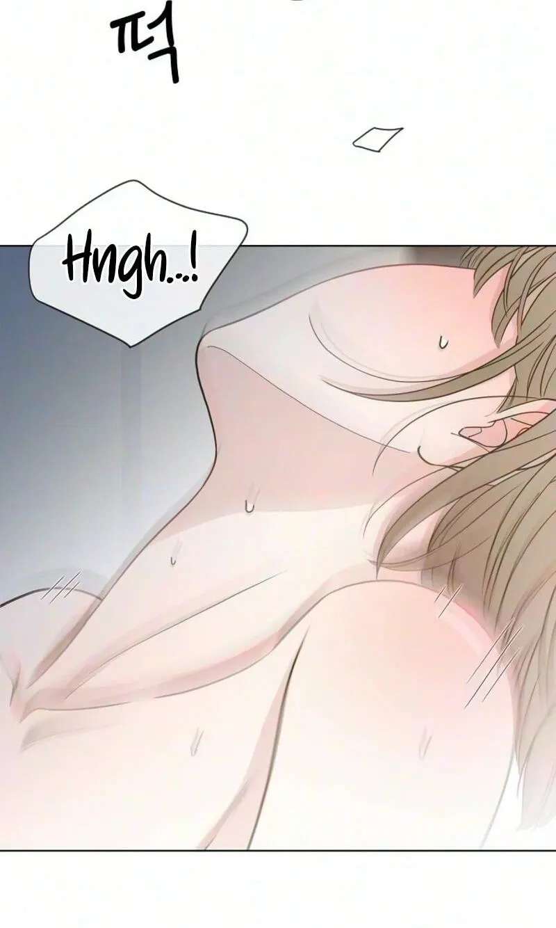 I'm Your Revenge Chapter 23 - page 31