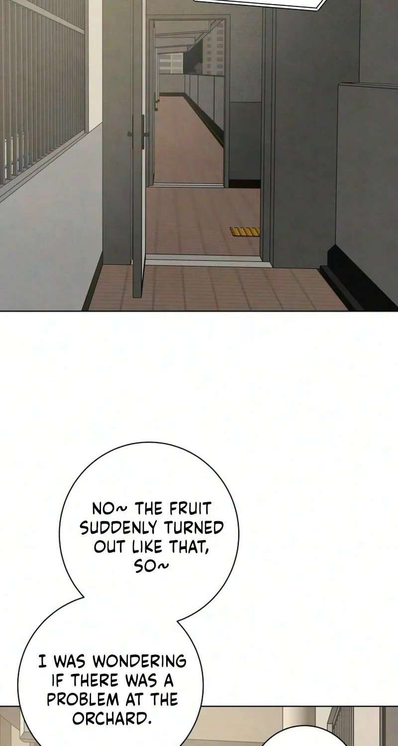 Before the grapes ripen Chapter 53 - page 72