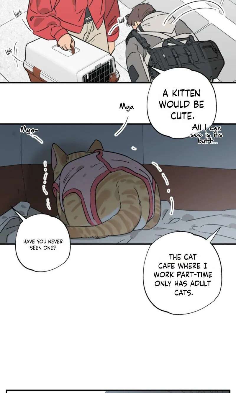 Cat Choice Chapter 29 - page 54