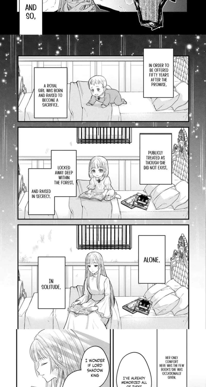The Happiness of the Sacrificial Princess ~The Lonely Sacrificial Girl Becomes the Bride of the Demon King~ Chapter 1 - page 17