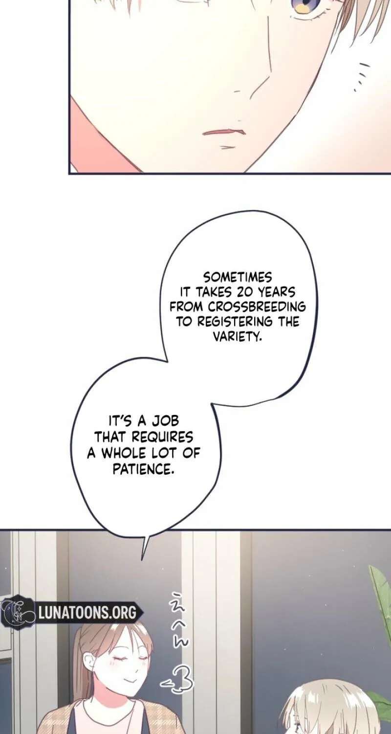 Saigo no Koi o Kimi ni Sasagu ~Yomei 1-nen no Onzoushi~ Chapter 26 - page 56