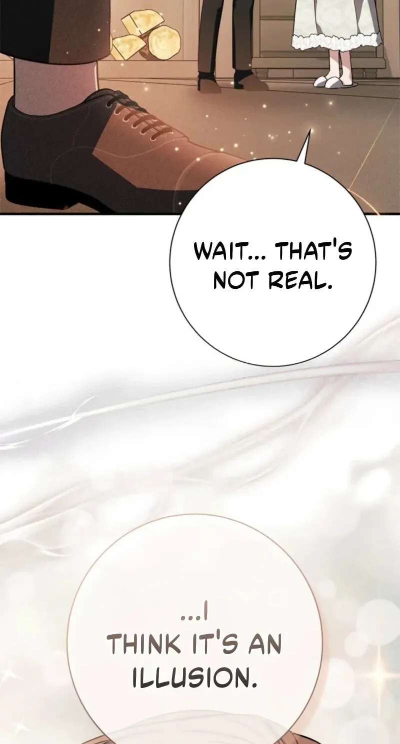 The Count's Beloved Contract Young Lady Chapter 49 - page 66