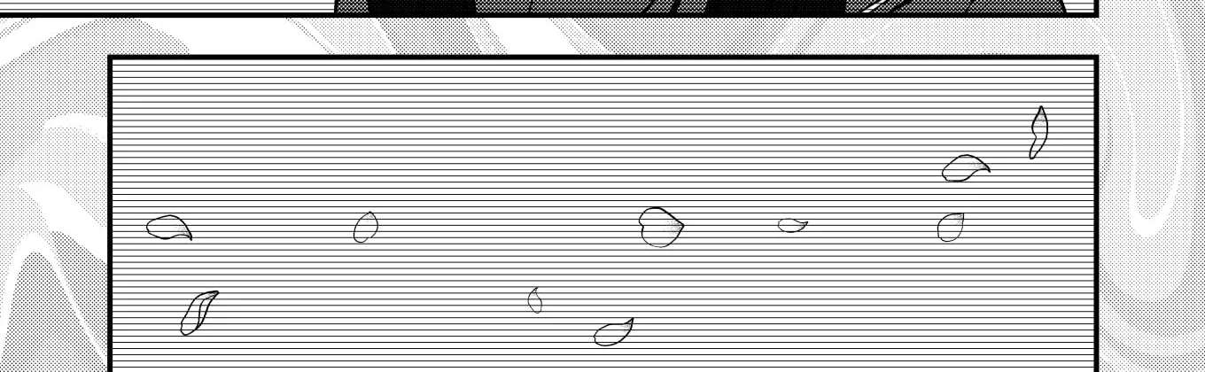 Watashi ga Shindara Nakimasu ka Chapter 2 - page 12