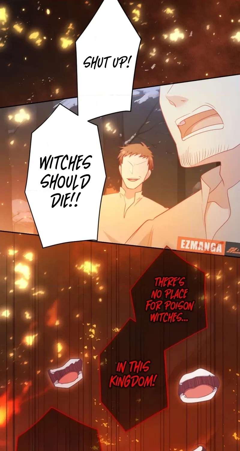 The Unhappy Poison Witch's Happy Marriage Chapter 2 - page 10