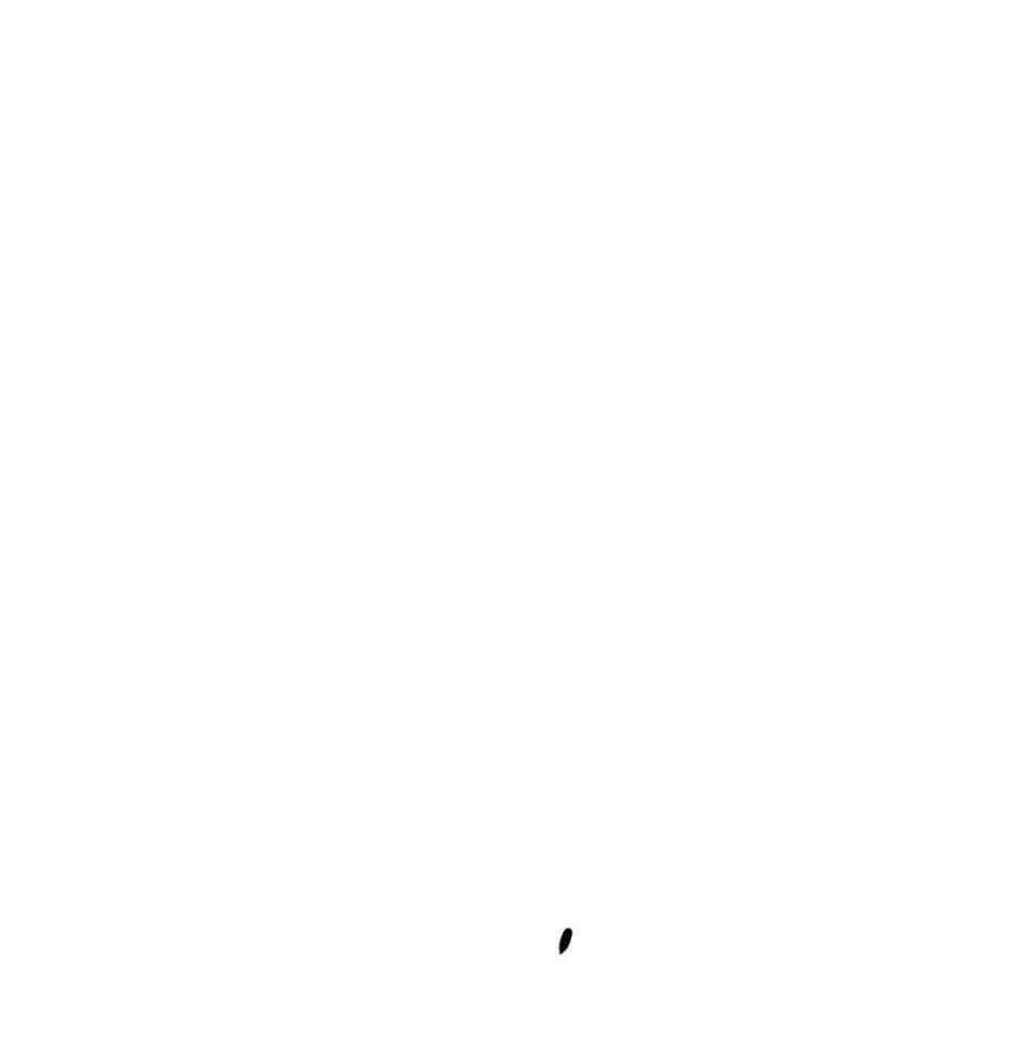 Switch (Ji-Dong & Kim Dong-Chan) Chapter 2 - page 270