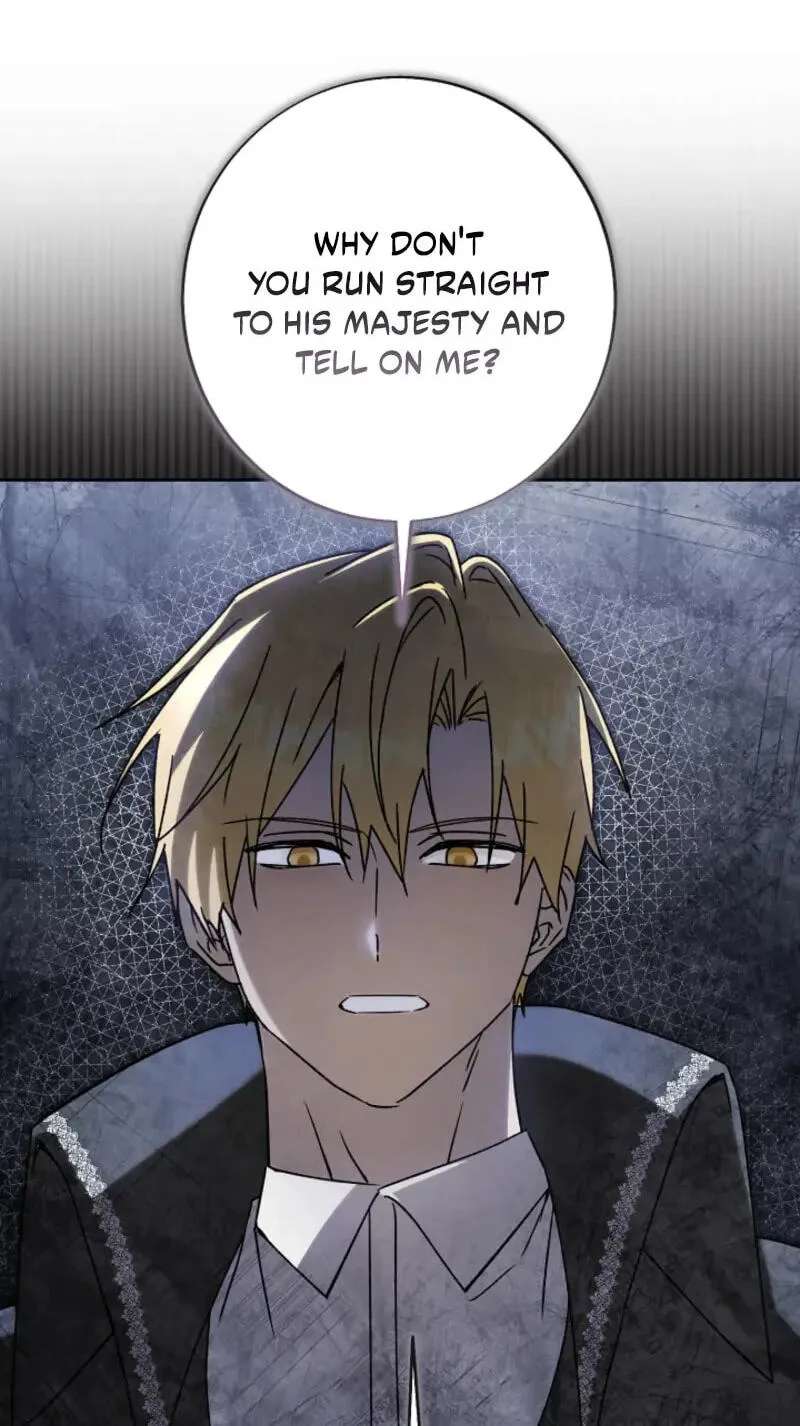 I Opened an Illegal Veterinary Clinic in Another World Chapter 50 - page 69