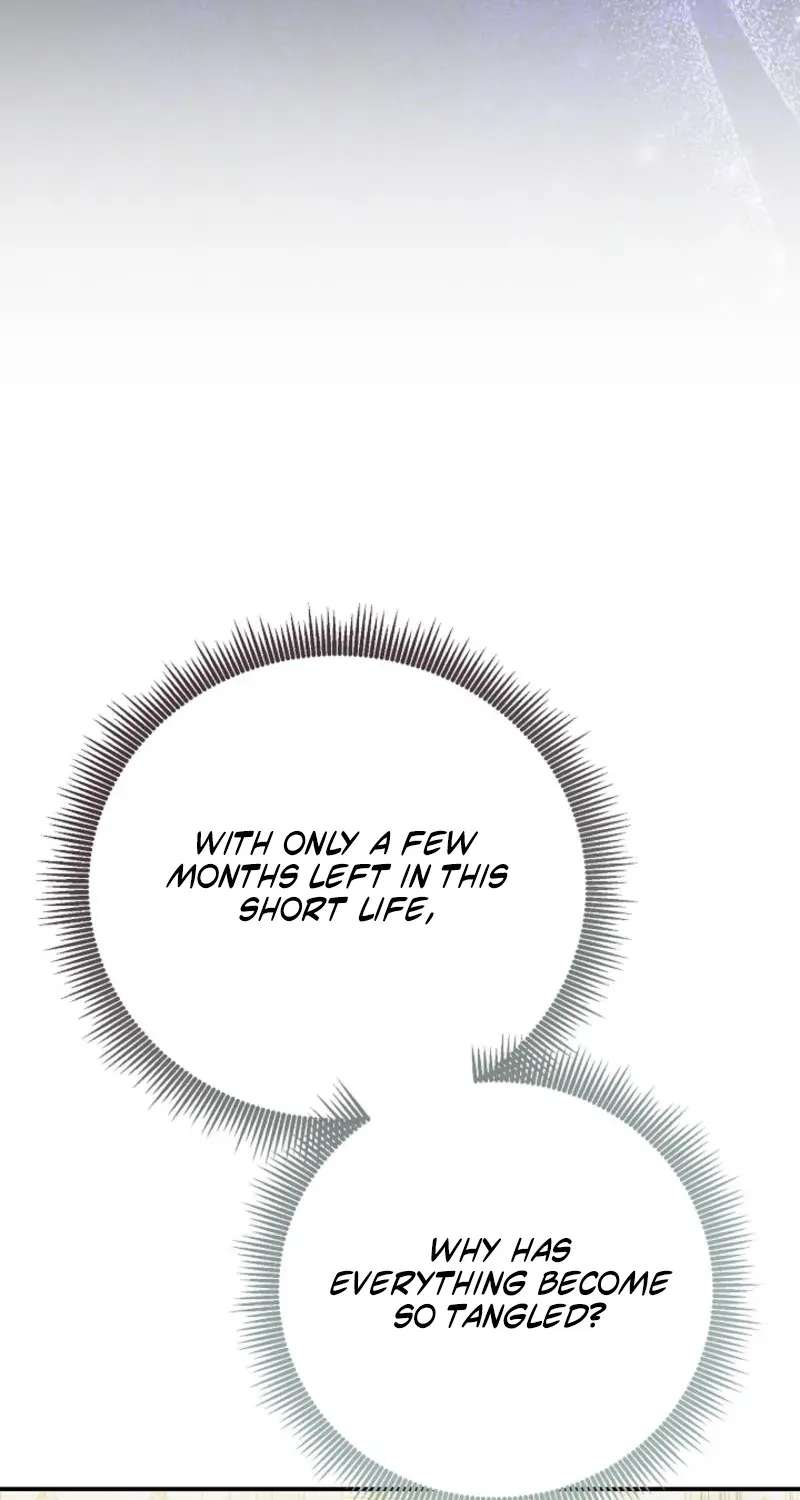 When Cinderella's Magic Fades Away Chapter 105 - page 77