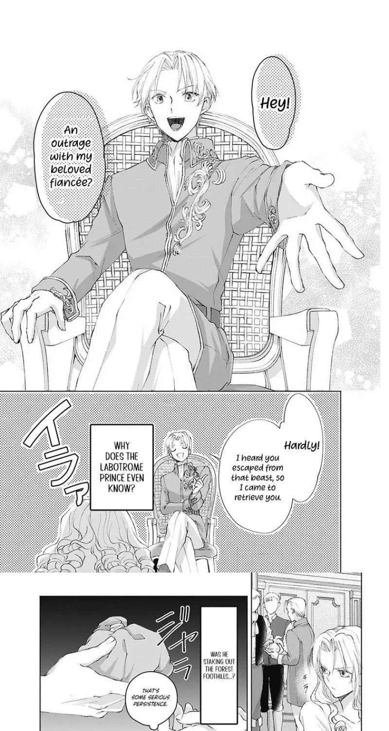 Super Beauty & the Beast: I Kissed Him and He Turned into a Prince?! Now I Have to Recast the Spell! Chapter 3 - page 13