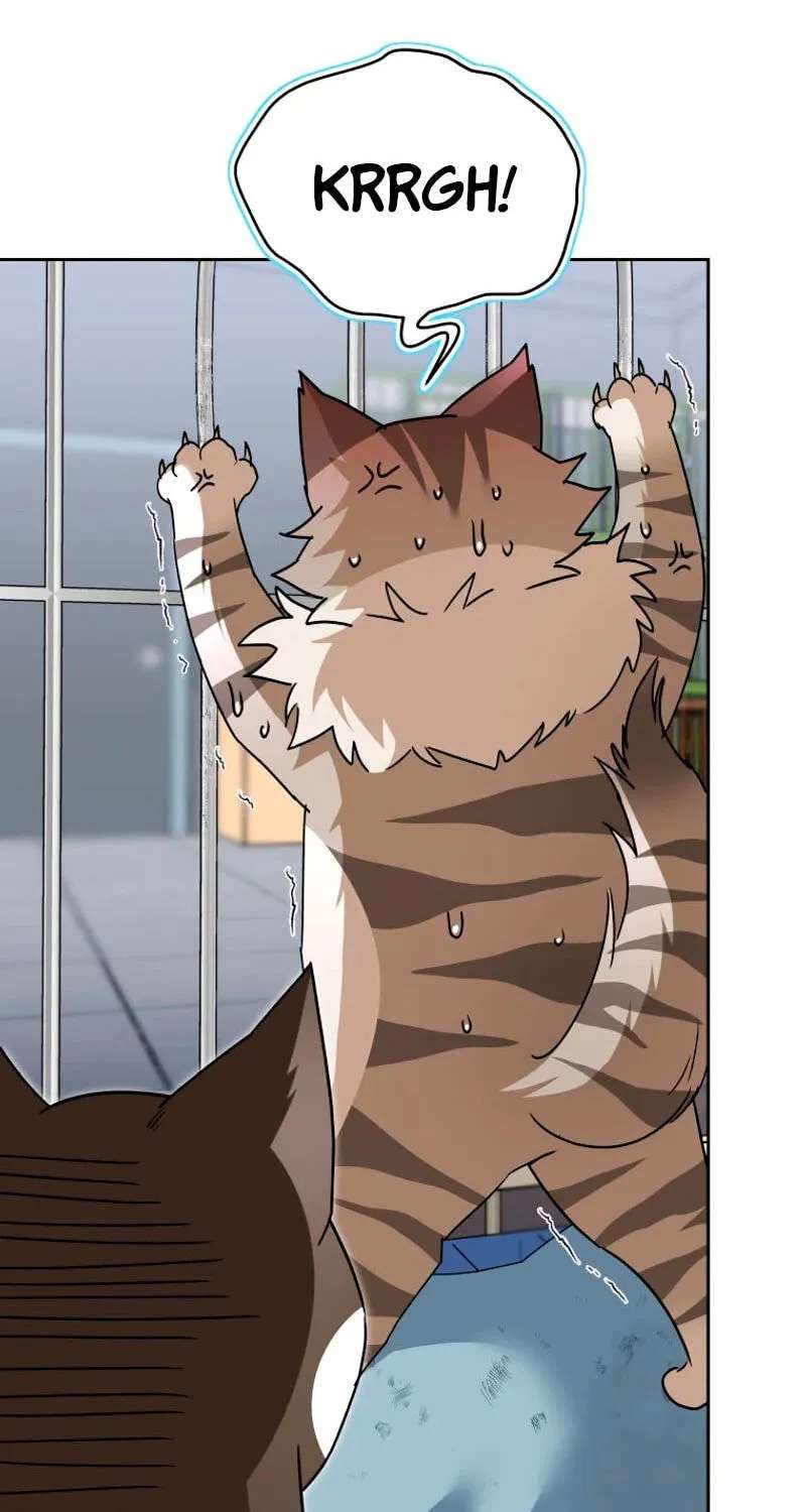 Hello, Mr. Veterinarian! Chapter 146 - page 64
