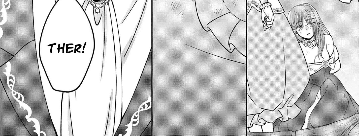The Perfect Prince's Mad Love Chapter 10 - page 27