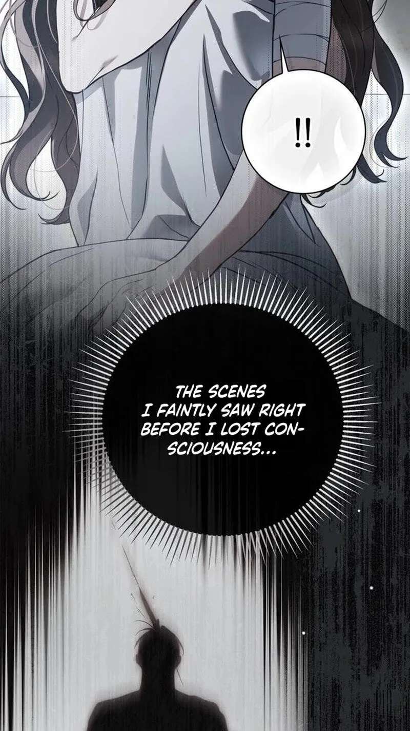 The Count's Secret Maid Chapter 110 - page 11
