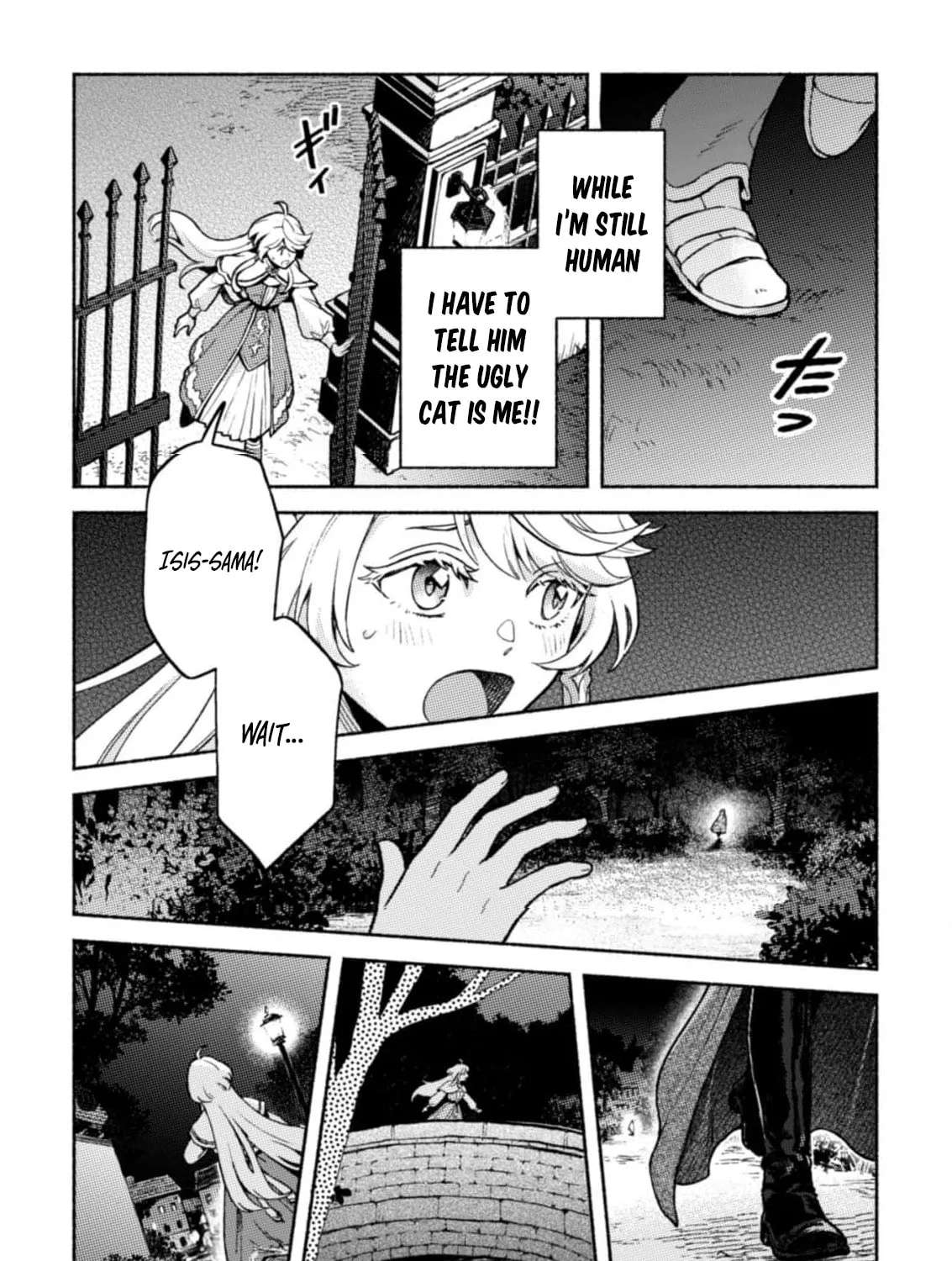 Nekura Kishi ni Yoru Dekiai Mankitsu-chuu nu Busa Neko, Jitsu wa Seijo desu! Chapter 7 - page 17