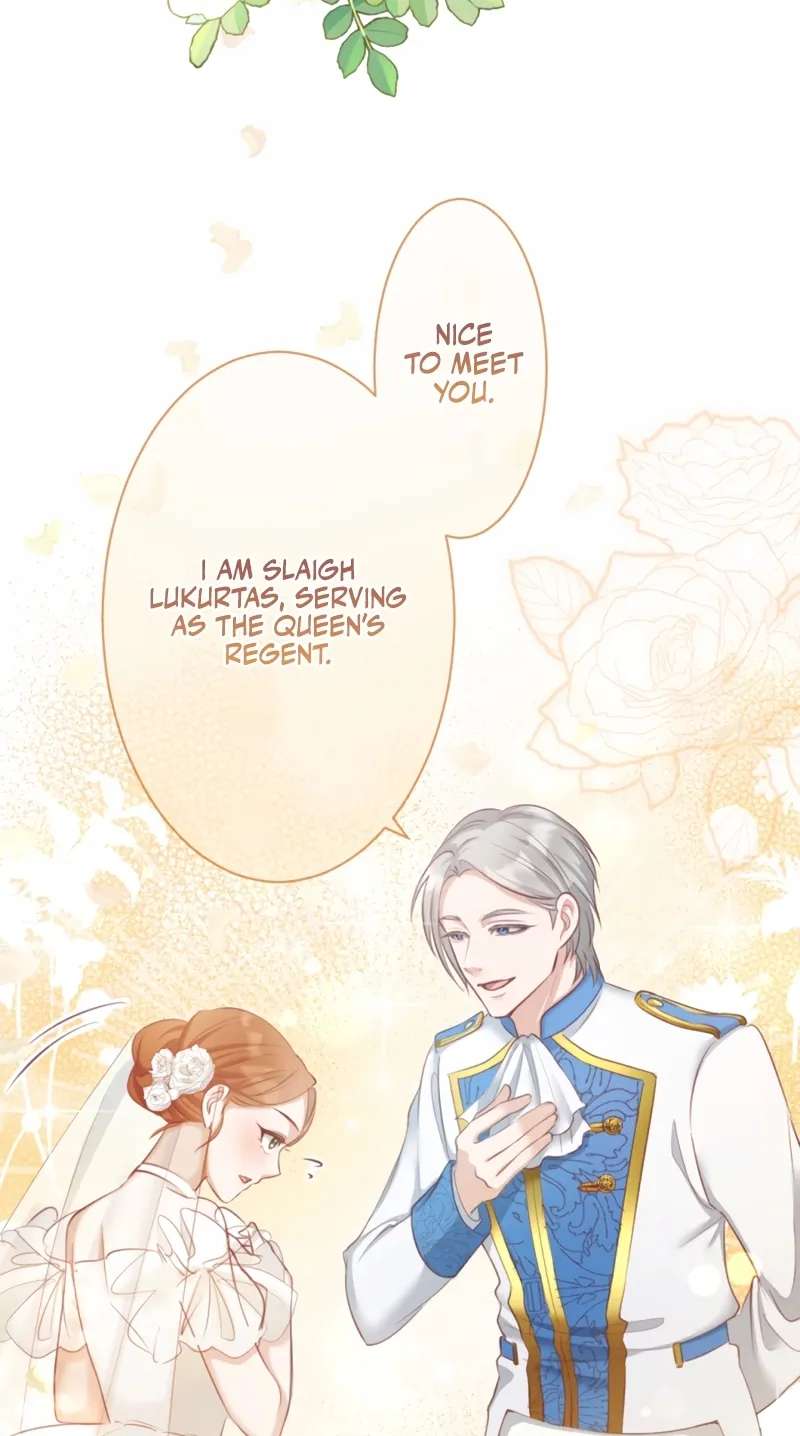 The Unhappy Poison Witch's Happy Marriage Chapter 3 - page 48