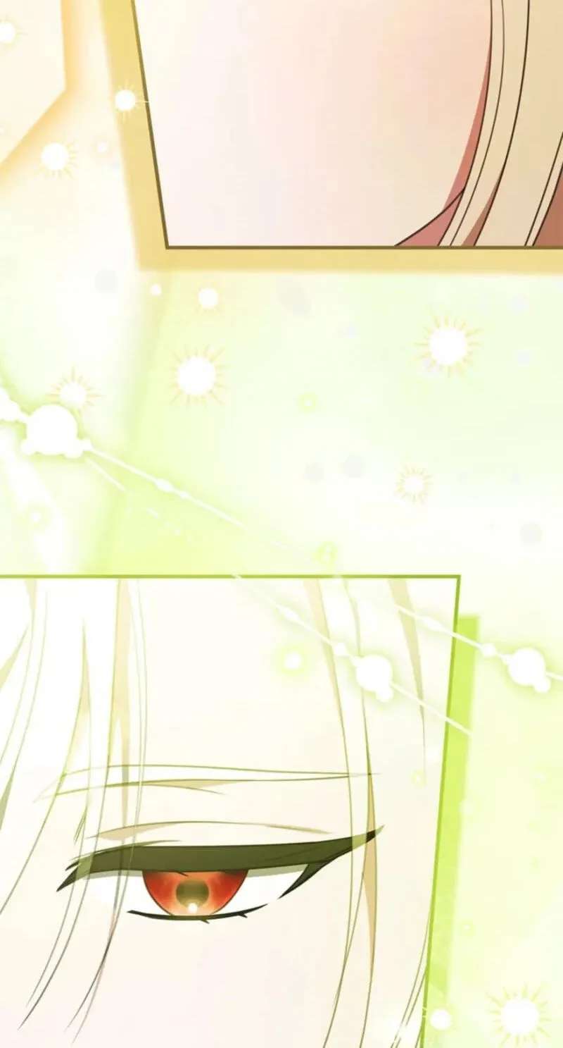 The Count's Beloved Contract Young Lady Chapter 42 - page 25