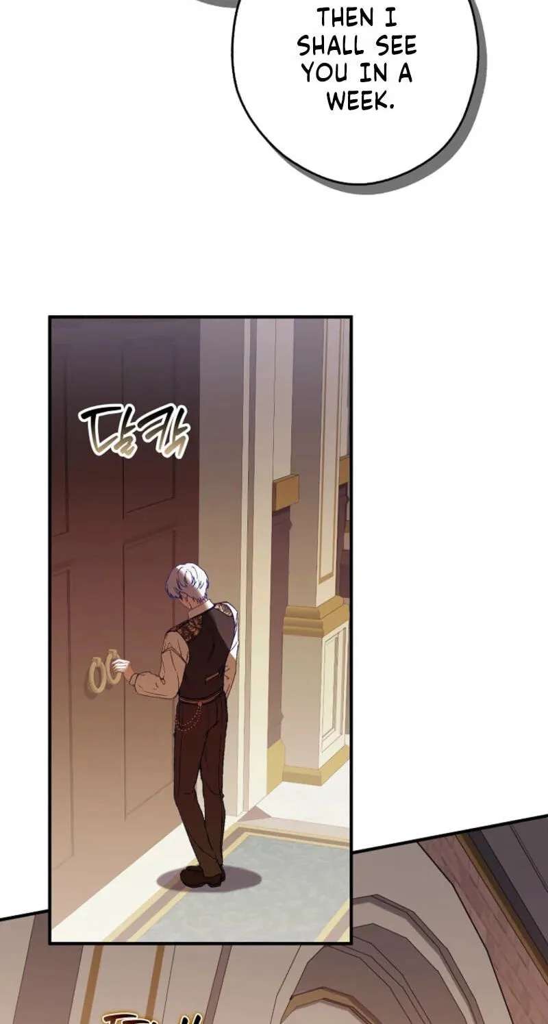 Cinderella's Pocket-Sized Protector Chapter 56 - page 2