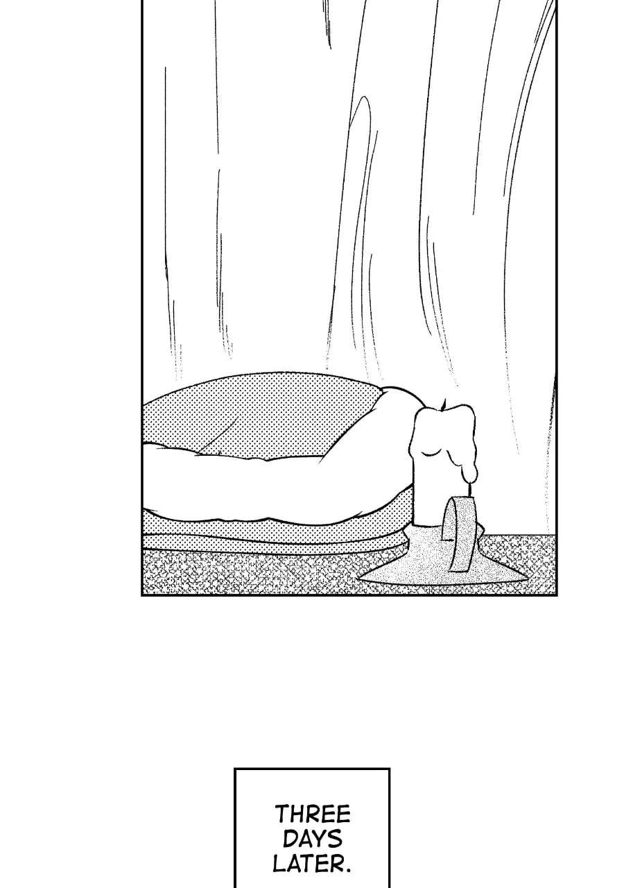 Wings of Starlight Chapter 31 - page 41