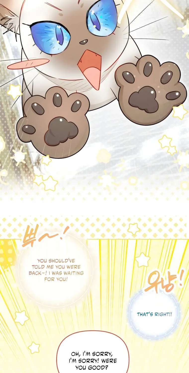 Even Though I Transmigrated As A Villainess, I’d Rather Raise A Cat Chapter 93 - page 25