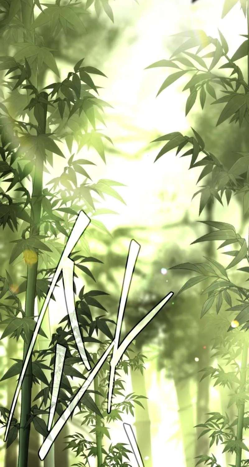 The Veteran Swordmaster’s Stream Chapter 33 - page 3
