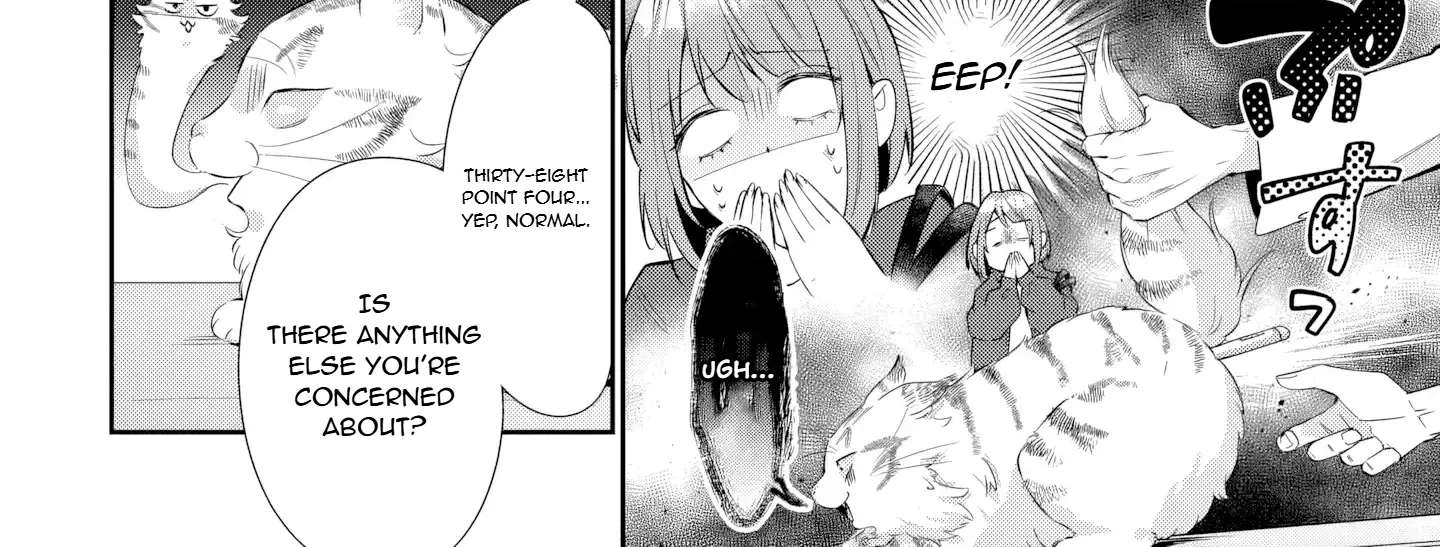Is the Cat I Picked Up Really a Cat? Chapter 2 - page 25