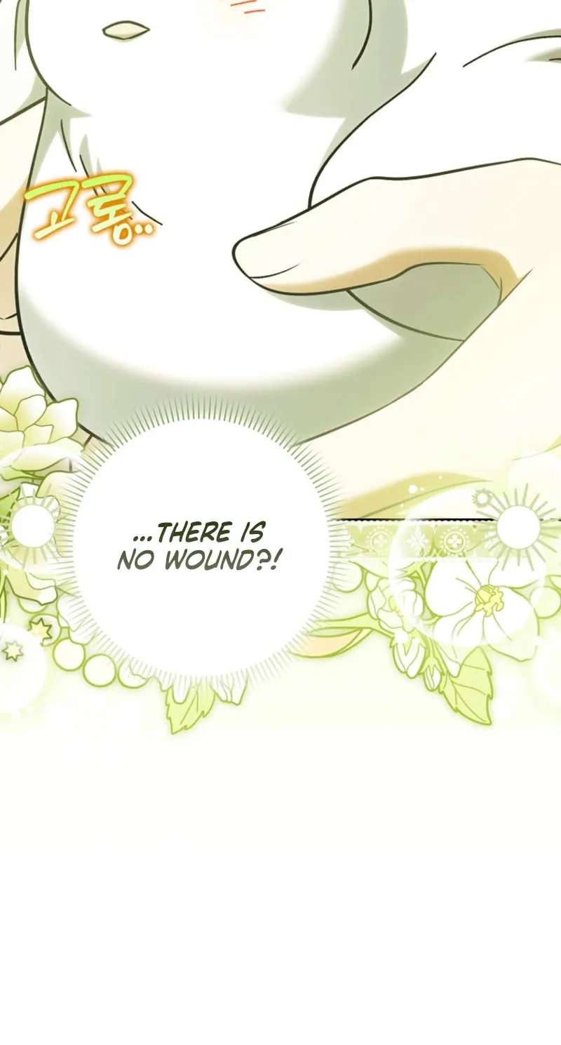 The White Tiger Princess Is Safe Chapter 48 - page 27