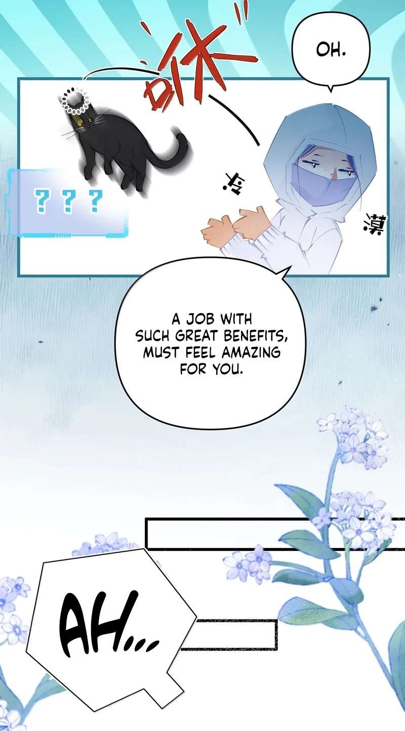 Chuan Cheng Jia Qianjin Hou, Wo Kao Taohao Zhen Qianjin Gouhuo Chapter 38 - page 16