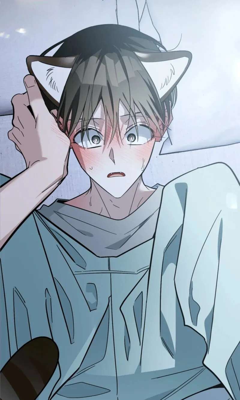 Give Birth to a Baby Wildcat for Me, Unless You Want to See Me Go Insane! Chapter 37 - page 12