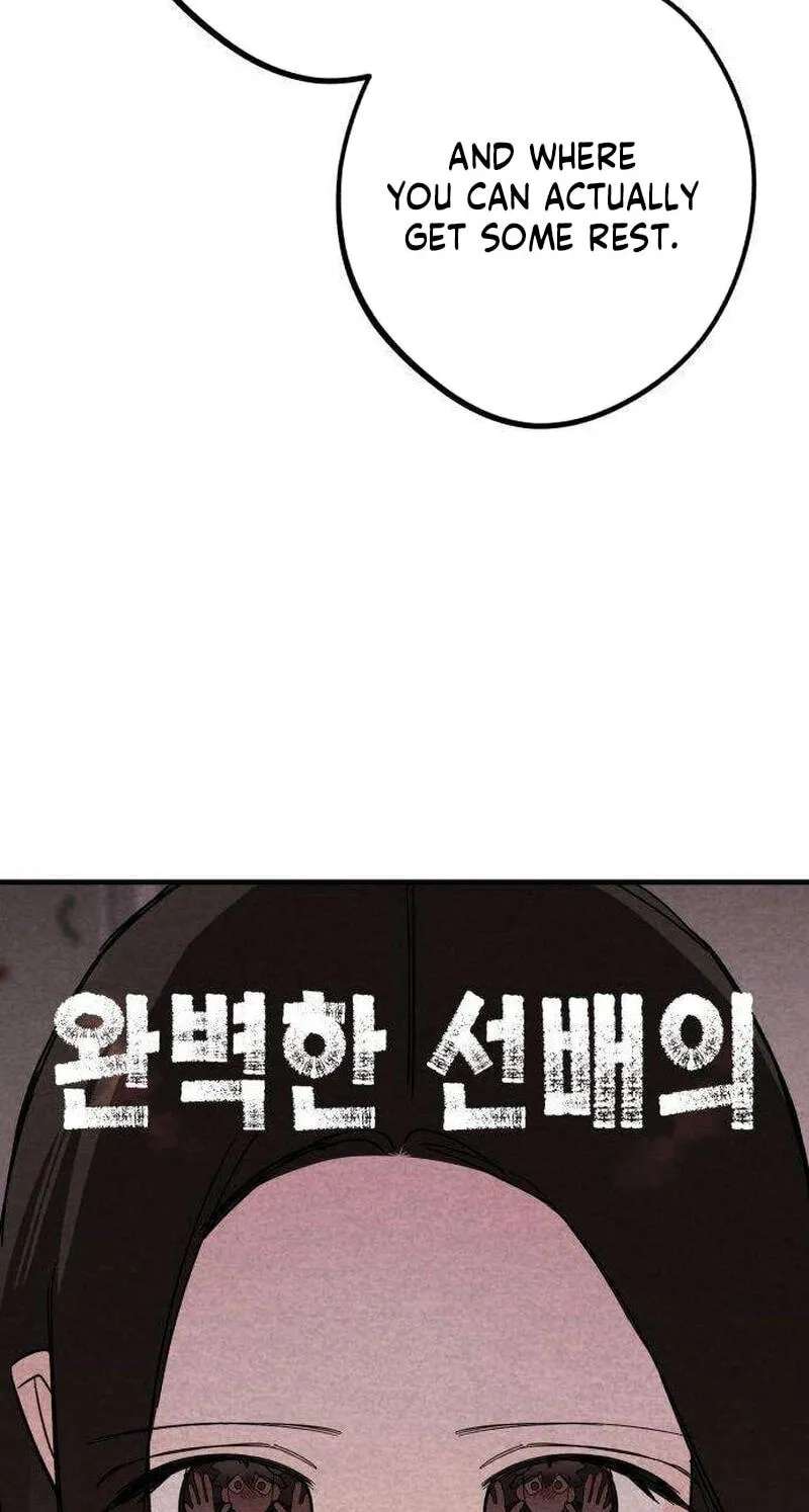 The Perfect Senior's Secret! Chapter 32 - page 15