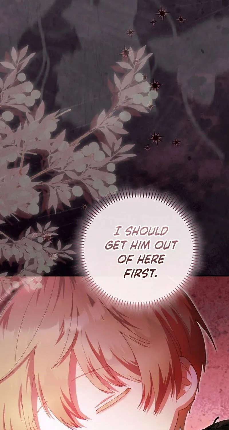 The Baby Fairy is a Villain Chapter 73 - page 5