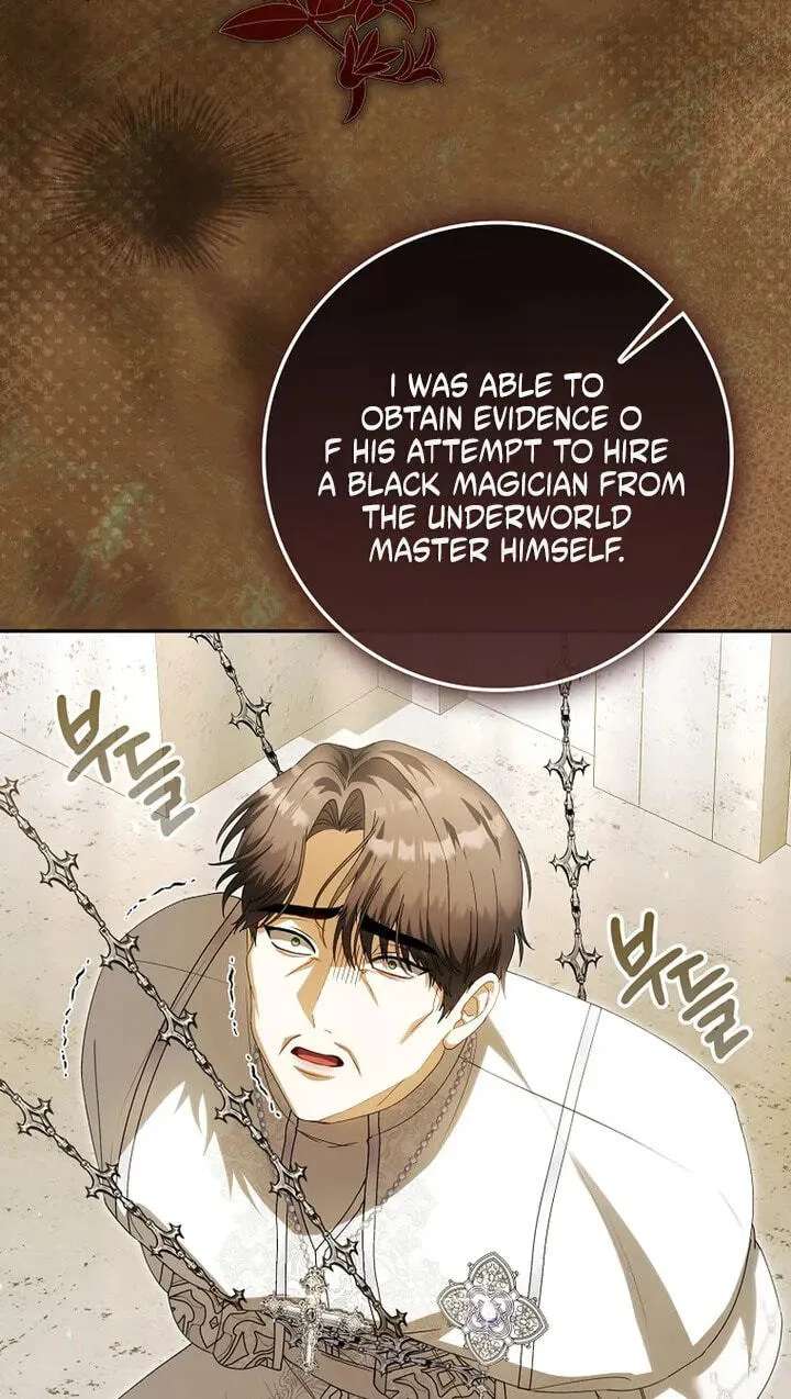 The Baby Fairy is a Villain Chapter 74 - page 30