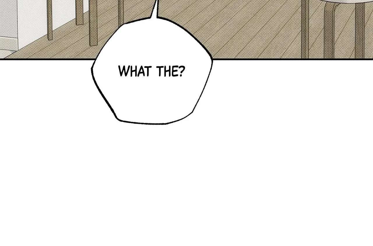 The Light I Give You Chapter 47 - page 18