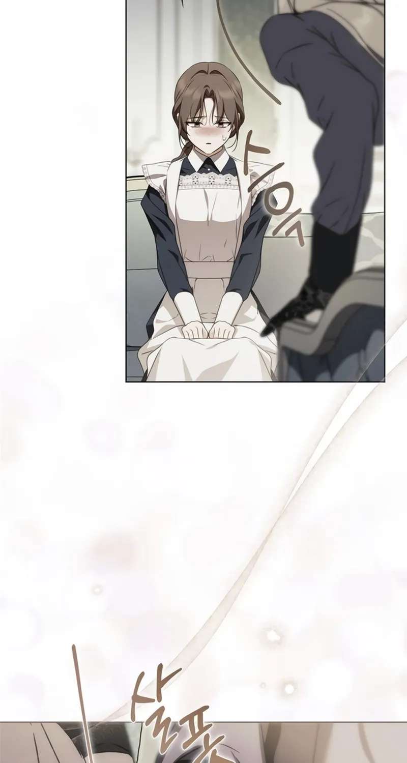 The Count’s Secret Maid Chapter 104 - page 14