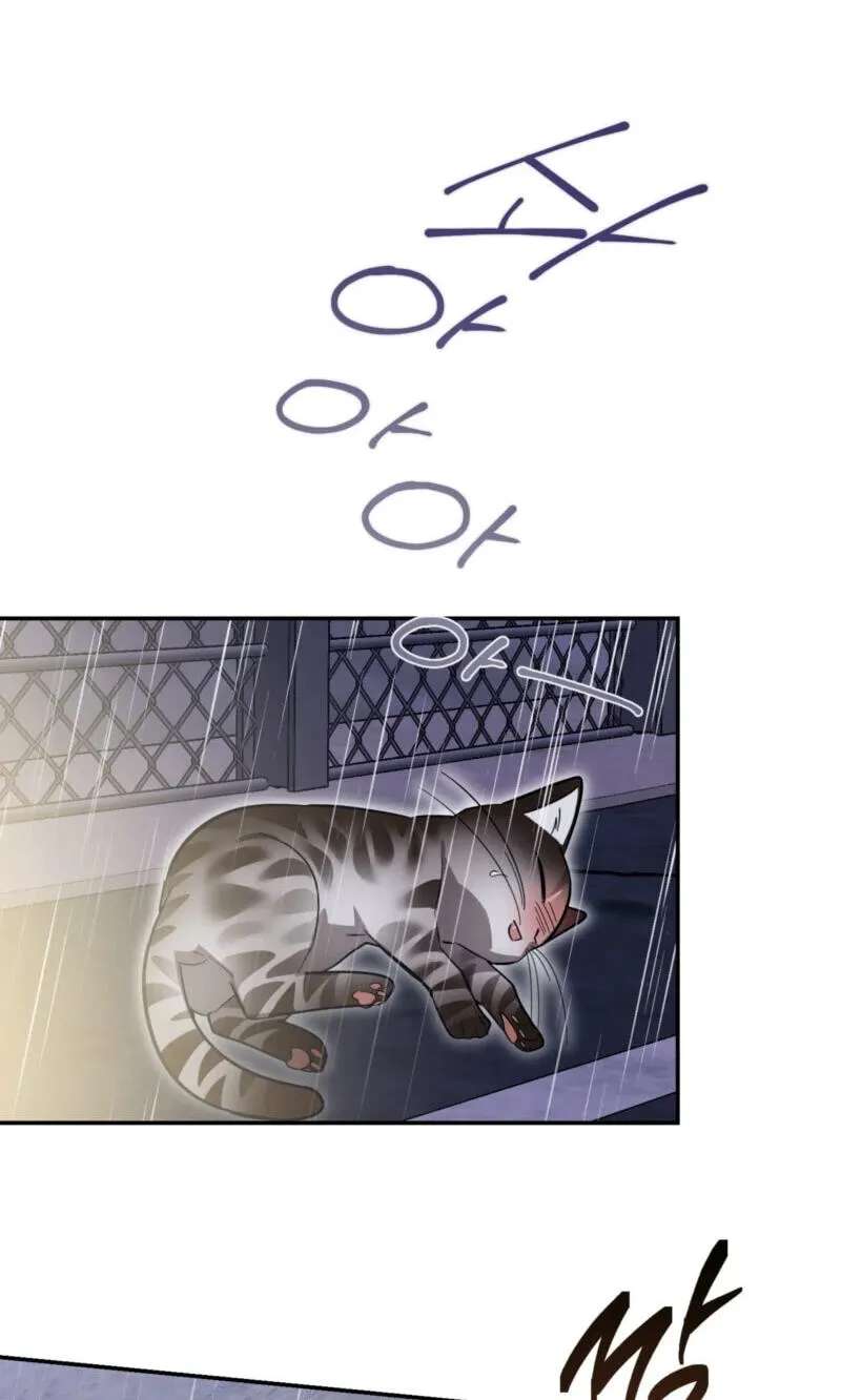 Give Birth to a Baby Wildcat for Me, Unless You Want to See Me Go Insane! Chapter 38 - page 108