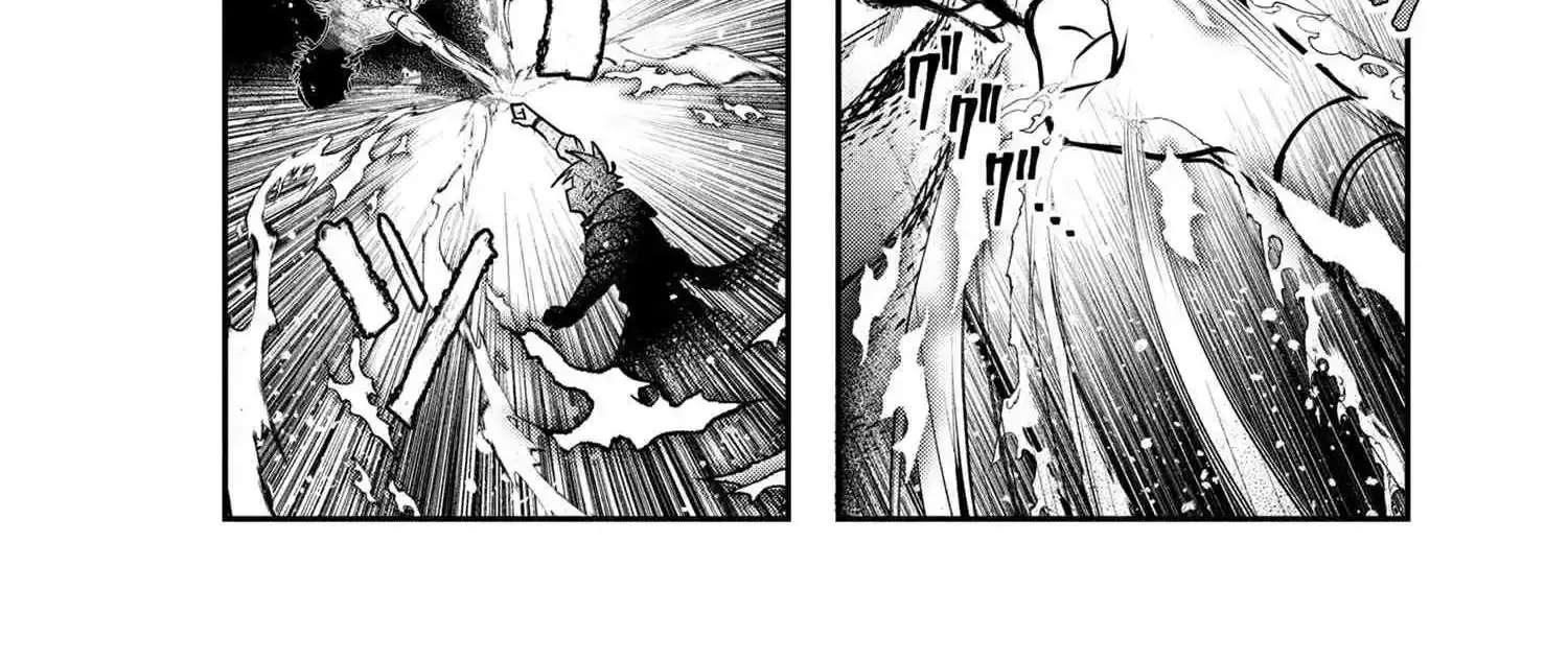 Yuusha Party wo Tsuihousareta Seireijutsushi - Saikyou-kyuu ni Kakusei shita Fuguu-shoku, Shin no Nakama to Godai Dungeon wo Seiha suru Chapter 5 - page 47