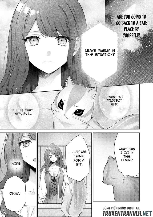 My Fiancé, Who Used to Hate Me, Turned into a Squirrel and Came to Me for Help. Chapter 3 - page 23