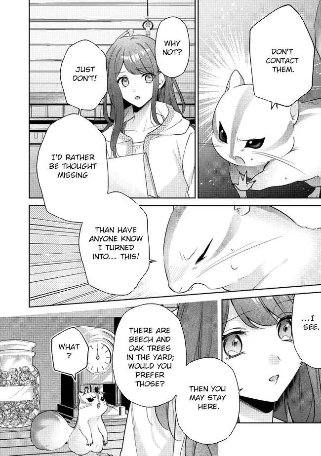 My Fiancé, Who Used to Hate Me, Turned into a Squirrel and Came to Me for Help. Chapter 1 - page 43