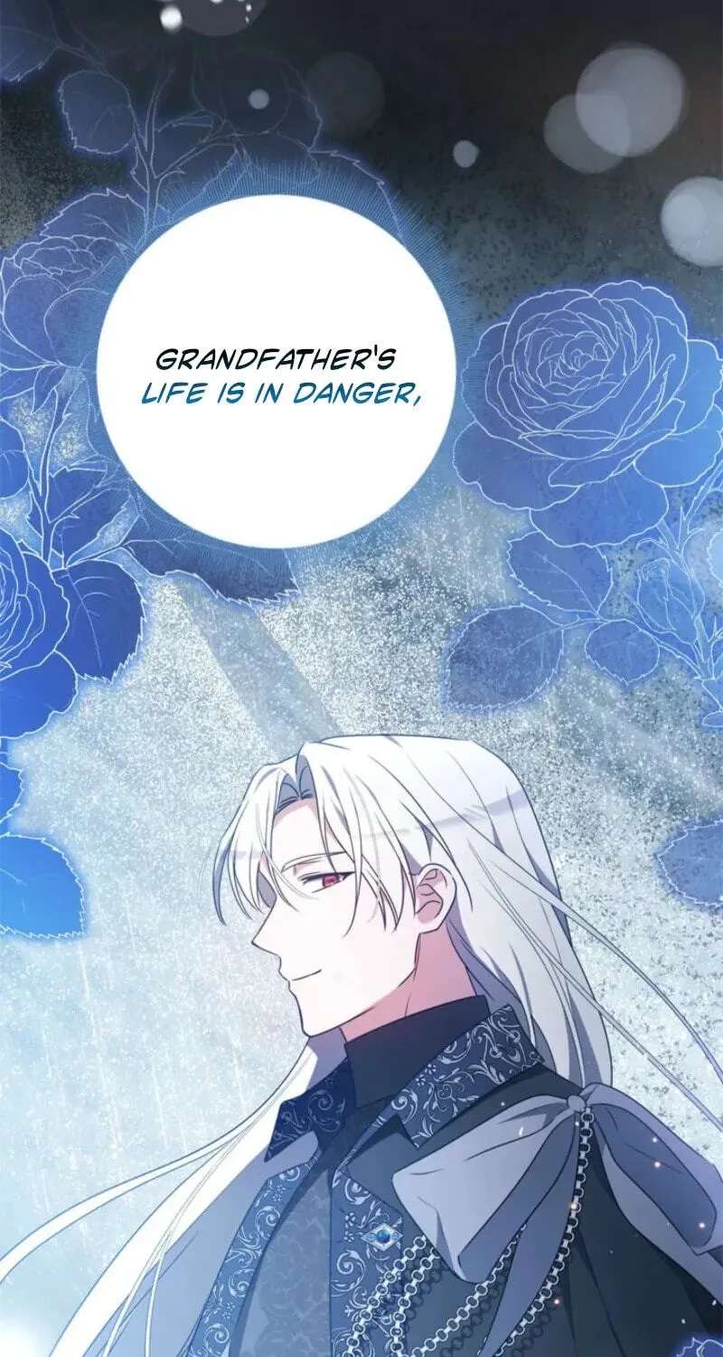 The Count's Beloved Contract Young Lady Chapter 41 - page 89