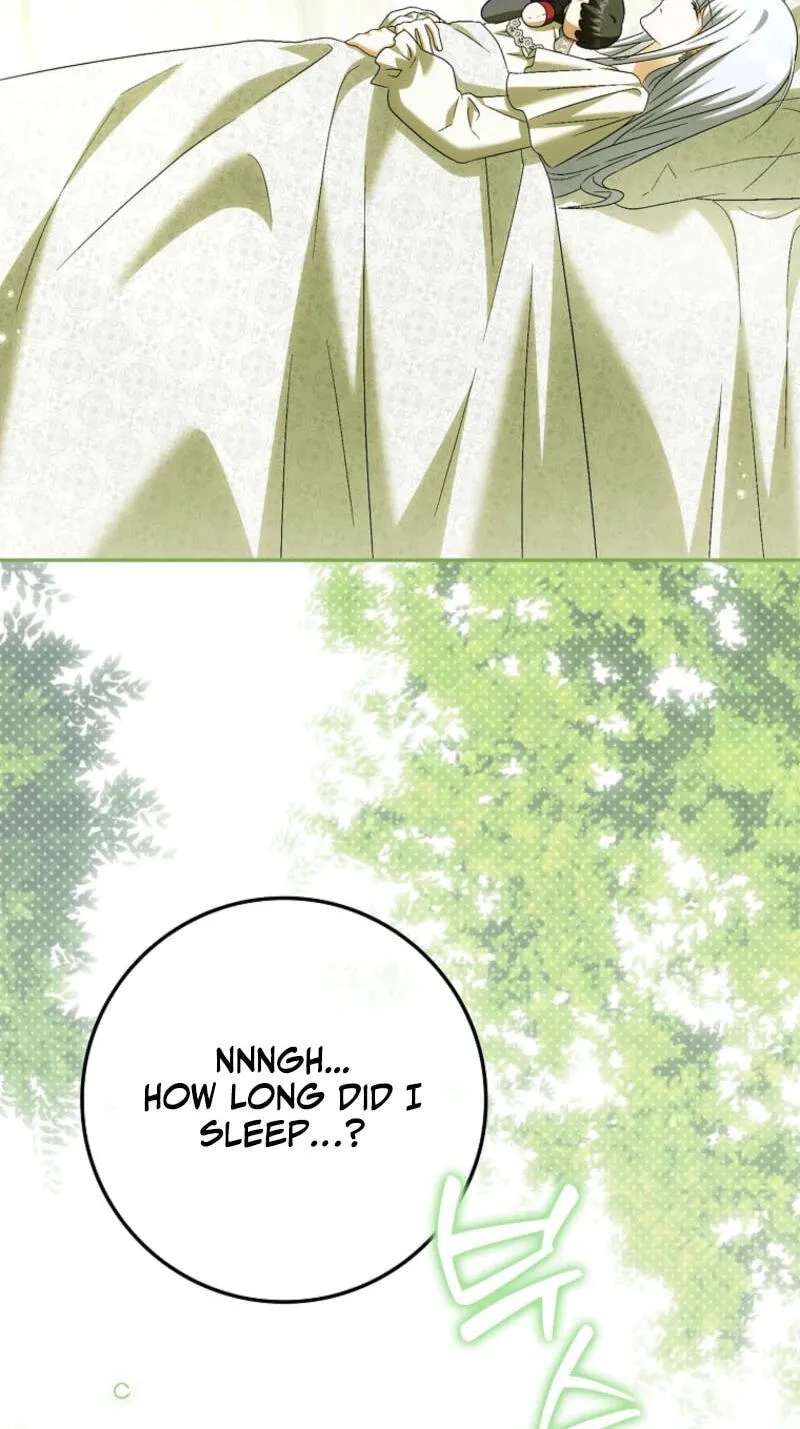 The White Tiger Princess Is Safe Chapter 49 - page 40