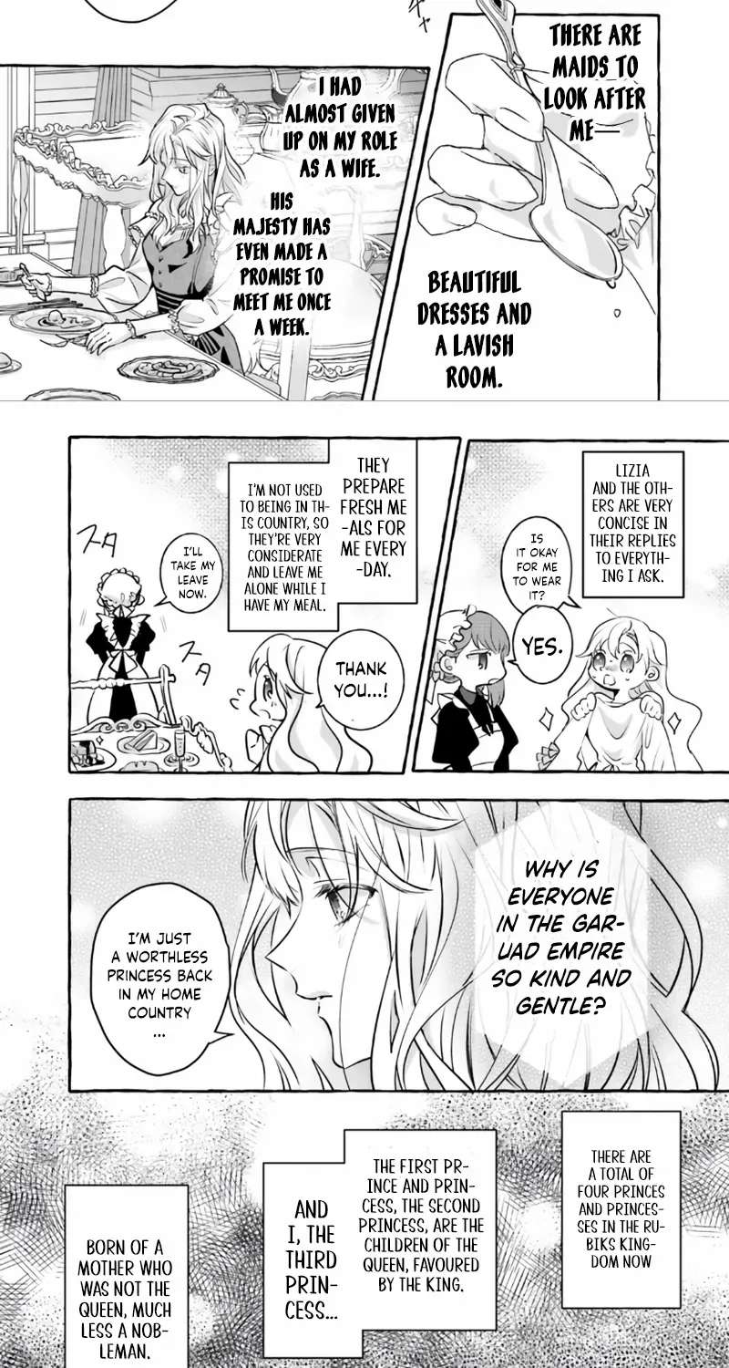 The Ruthless Emperor Is Doting on the Hostage Princess Chapter 1 - page 24