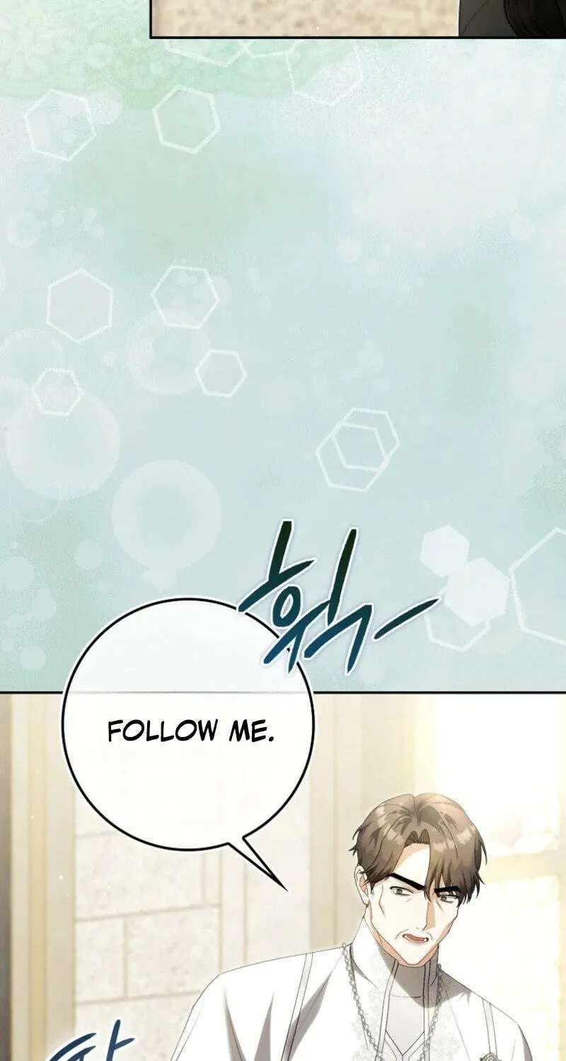 The Baby Fairy is a Villain Chapter 71 - page 25