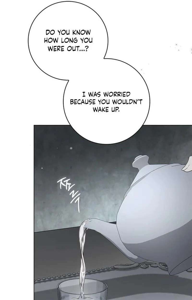 The Count's Secret Maid Chapter 110 - page 6
