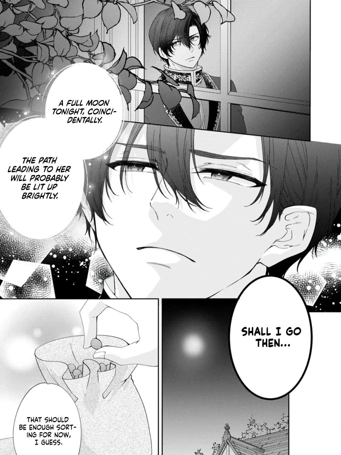Akuyaku Reijou no Nariagari: Ringoku de Houseki no Seijo to Yobareru Made Chapter 6 - page 17