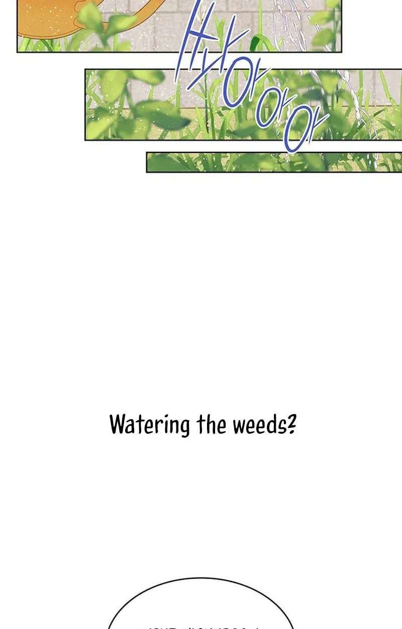 There Are 49 Left, Master! Chapter 60 - page 61