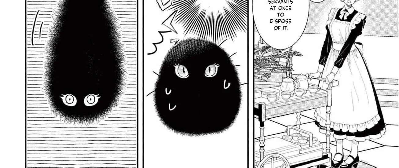 The Nameless Monster and Two Knights: And the Fiancé Is Perplexed Chapter 2 - page 14