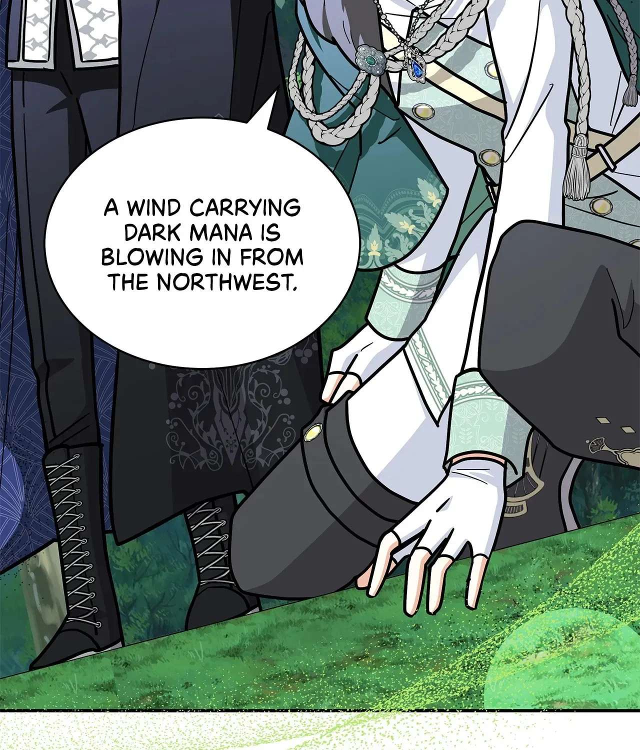 A Cat, Adopted by a Wolf Family? Chapter 103 - page 14
