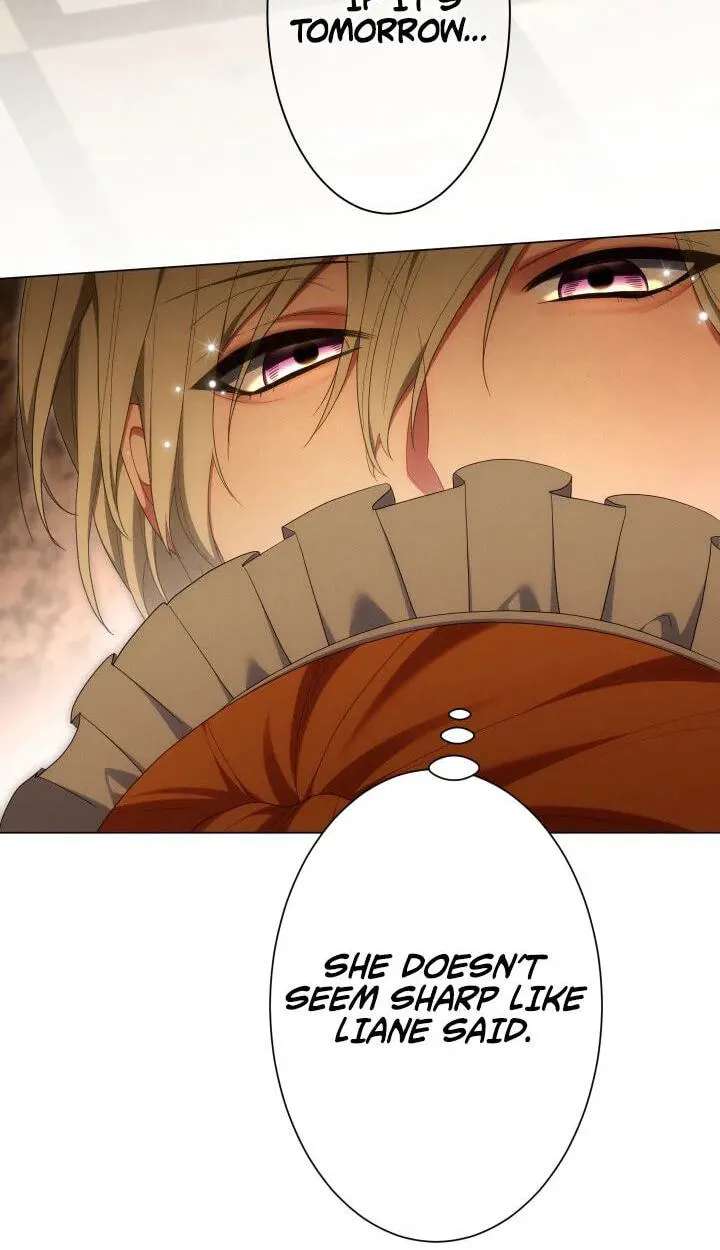 Kanpeki na Akujyo o Goran ni Iremashou Chapter 62 - page 44