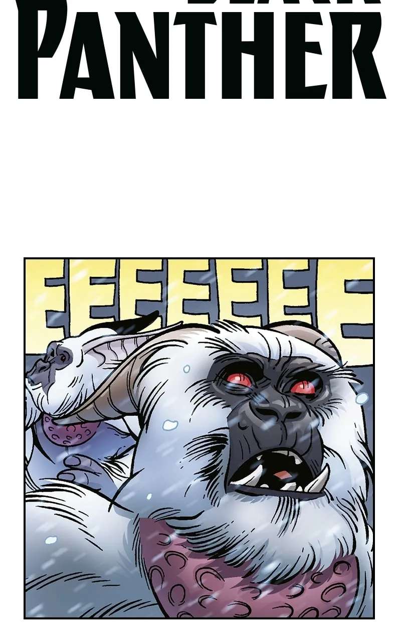 Black Panther:A Nation Under Our Feet Chapter 29 - page 5