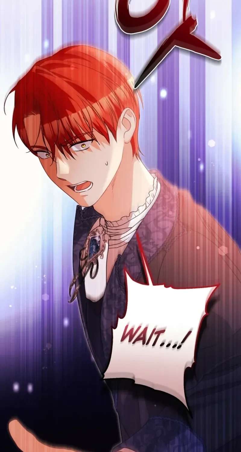 I Want a Divorce, Please Stop Obsessing Over Me! Chapter 59 - page 97