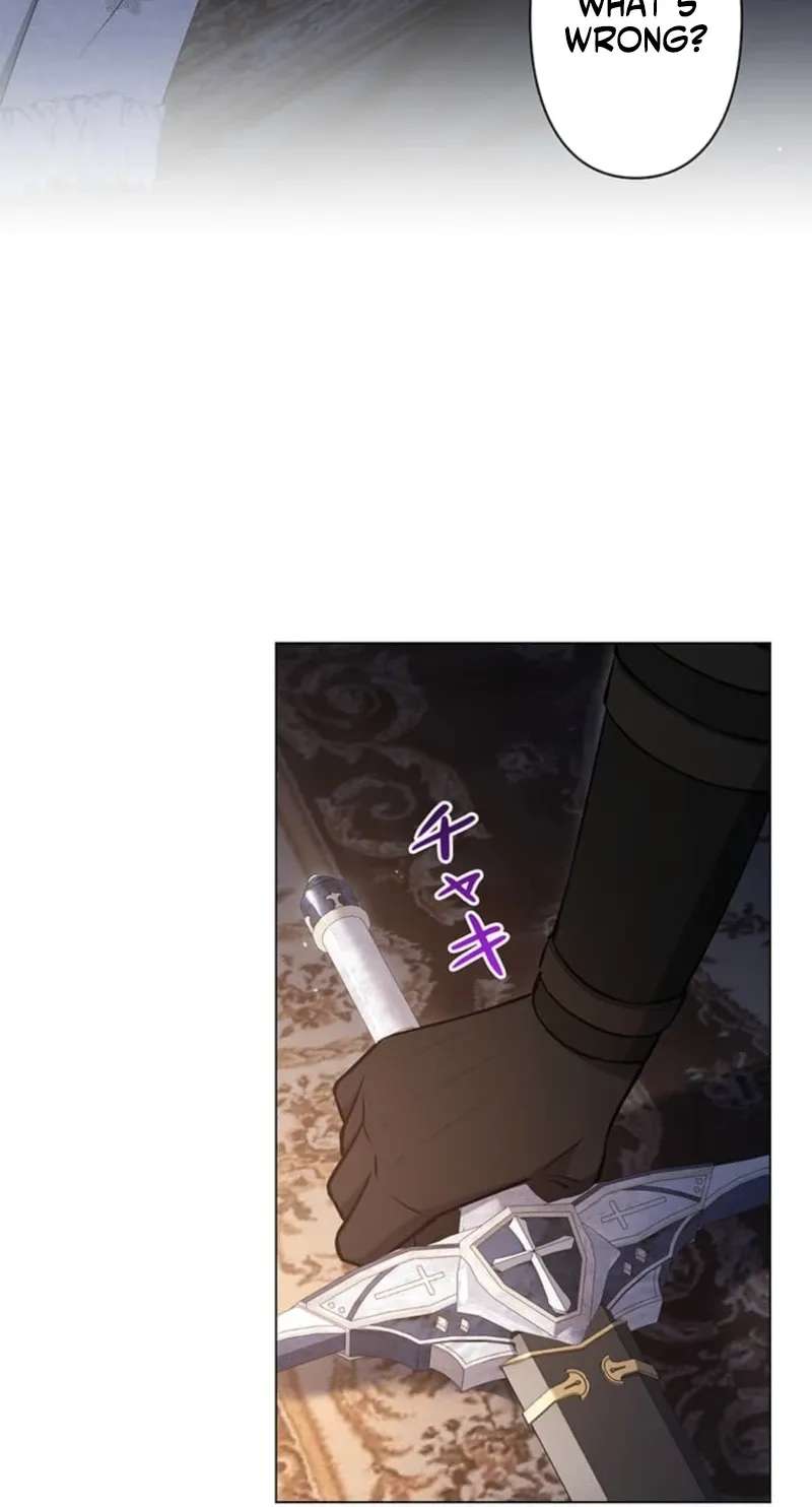 The Enemy King's Substitute Bride Chapter 47 - page 75