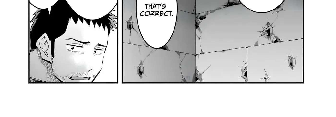Re-employment of the former strongest and bravest Chapter 45 - page 12